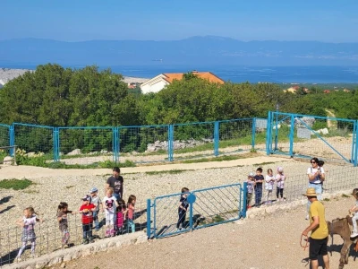 OPG Lucić - magareće mlijeko