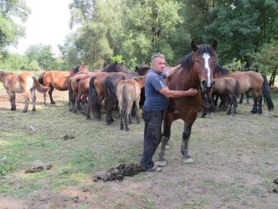 OPG Marjanović