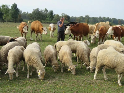 OPG Marjanović