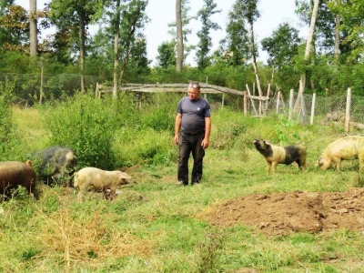 OPG Marjanović