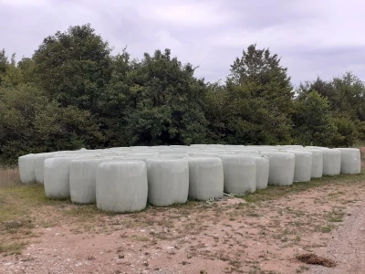 OPG Medak