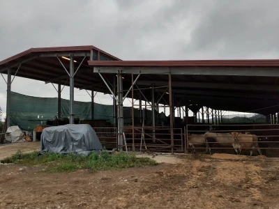 OPG Medak