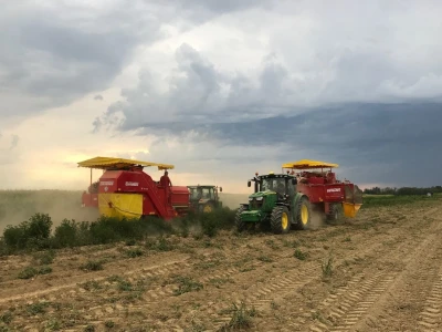 OPG Mirjan Dodlek