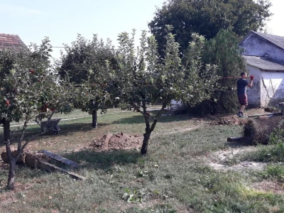 OPG Na kraju sela iz Kozarca