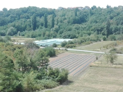 OPG Novak