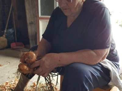 OPG Ojdanić