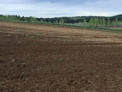 OPG Oliver Turkalj