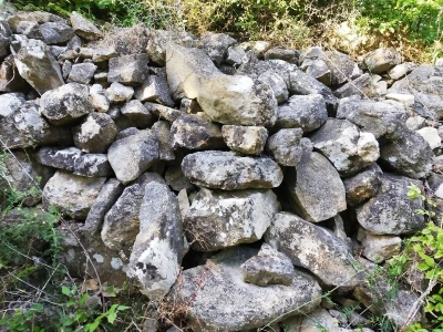 OPG OMER MERO SURAĆ - Suhozid i burobran mu spasili urod trešanja vrijedan 70.000 kuna!