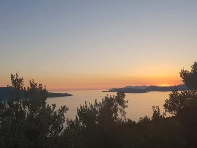 OPG Pašeta