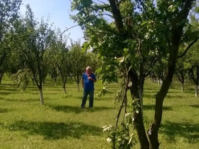 Posljedice elementarne nepogode na OPG Pavičić