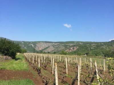 OPG Petričević