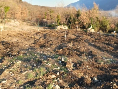 OPG Popovića dvori