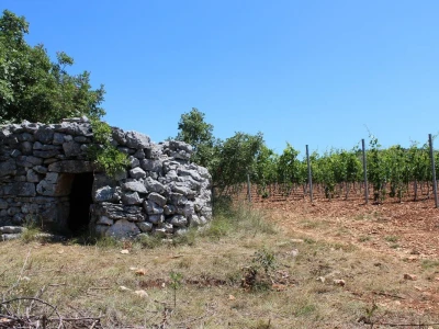 OPG Rade Županović Kruševo