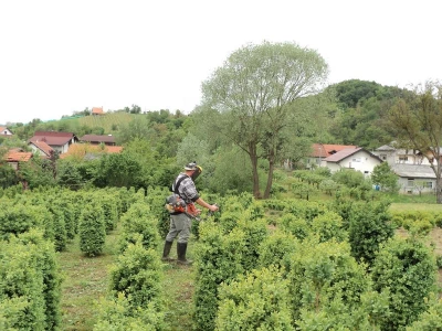 OPG Rešetar