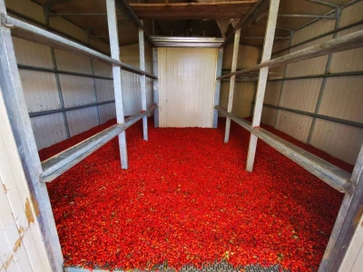 OPG Rosehip