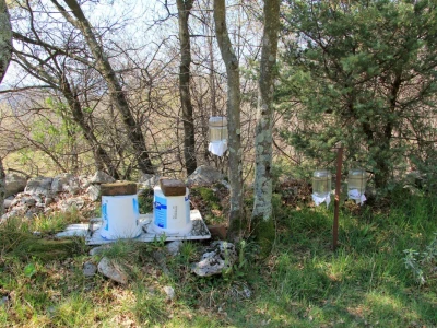 OPG Šarar Tihomir
