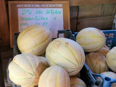 OPG Sarvan - ekološka proizvodnja Loborika
