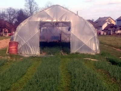 OPG Šipek