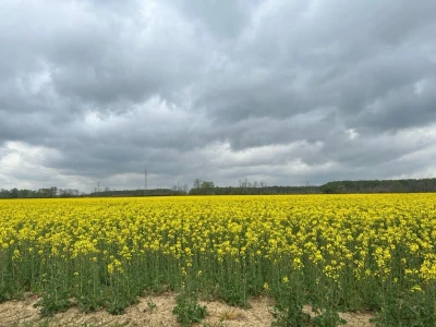 OPG Škrnički i Timac Agro u Breziku
