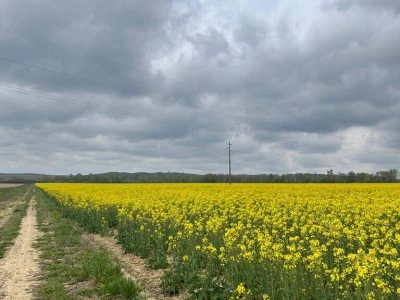 OPG Škrnički i Timac Agro u Breziku