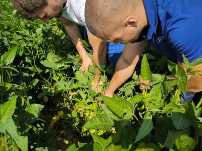 OPG Škrnički i Timac Agro u Breziku