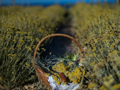 OPG Škunca