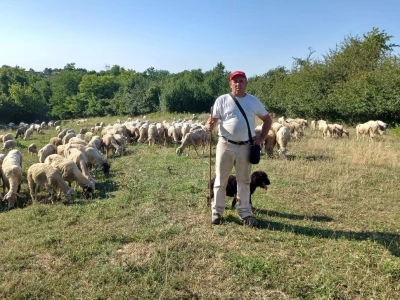 OPG Slavko Vukomanović