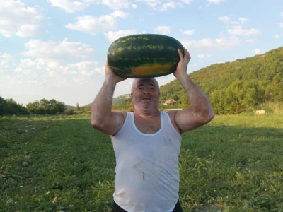 OPG Stojanović