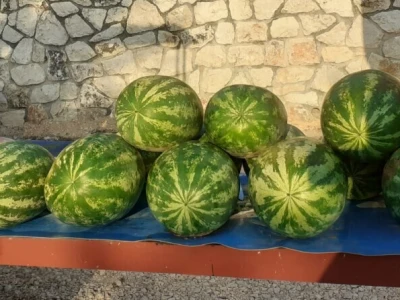 OPG Stojanović