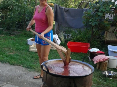 Ankica Šunić