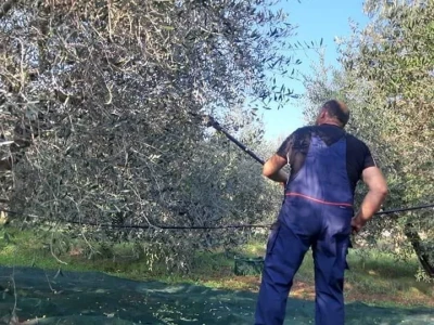 OPG Tarcizio Laganis – Čižo