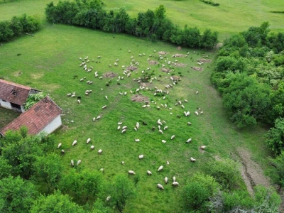 OPG Tomašević Šegestin