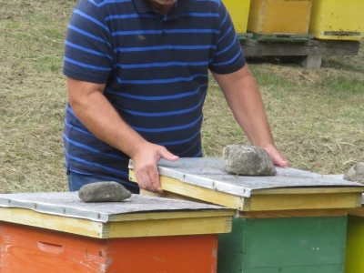 OPG Tomislav Jedličko