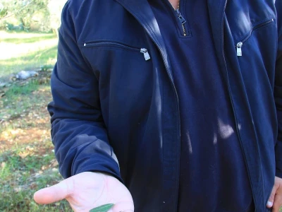 OPG Valter Šarić