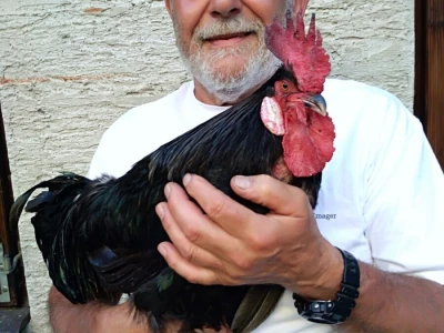 OPG Vidaković