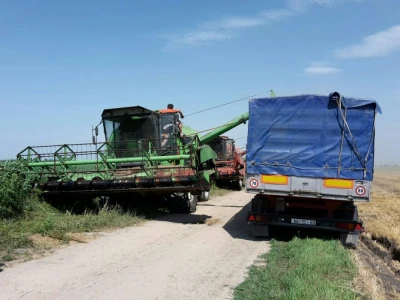 OPG Igor Vrbanić