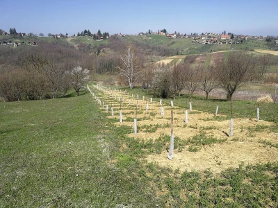 OPG Vukelić