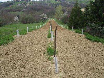 OPG Vukelić