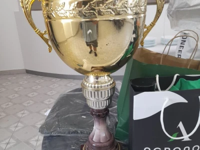 Orača u Ilači