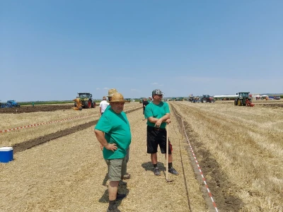 Orači kod Dalja