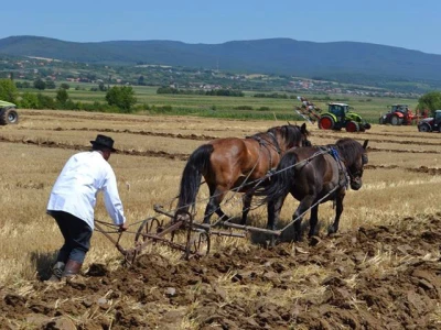 Natjecanje u oranju u Biškupcima