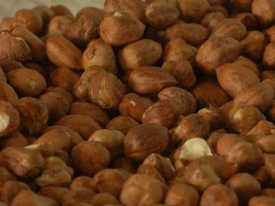 Orašasti plodovi - Agro-klaster
