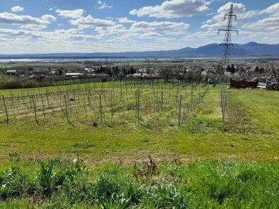 Oriovac