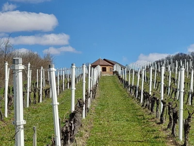 Oriovac