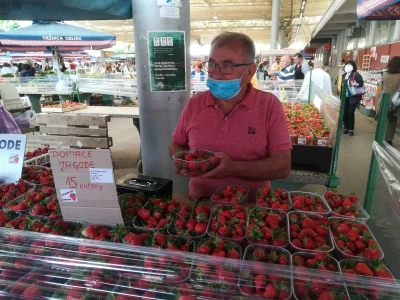 Osječka tržnica