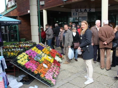 Ponuda cvijeća na ulasku u zatvoreni dio sajma