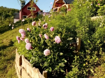 Otkrij Hrib