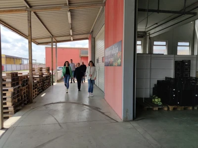 Otkupni centar tvrtke Enna Fruit u Donjem Miholjcu