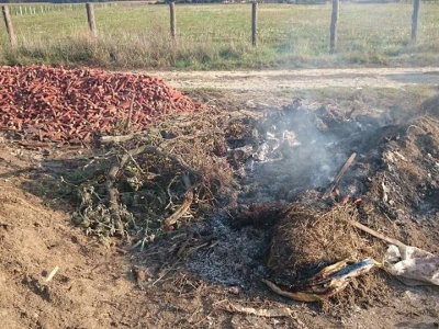 Bez nadzora spaljuje se sve i svašta