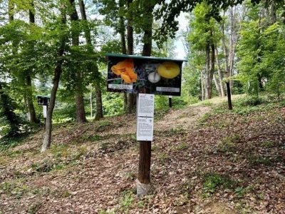 Otvoren prvi Gljivarsko edukativni park u Hrvatskoj